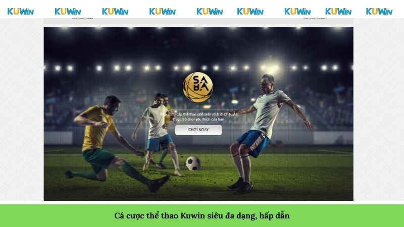 Cá cược thể thao Kuwin siêu đa dạng, hấp dẫn