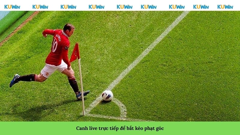 Canh live trực tiếp để bắt kèo phạt góc