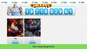 Đấu trường chọi gà Kuwin