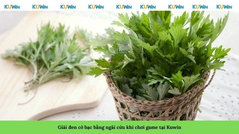 Giải đen cờ bạc bằng ngải cứu khi chơi game tại Kuwin