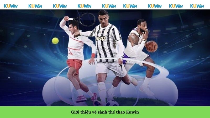 Giới thiệu về sảnh thể thao Kuwin