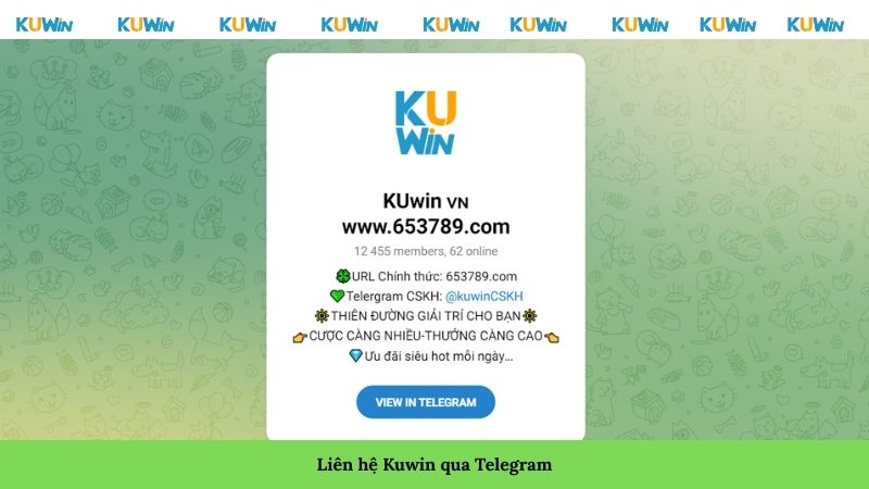 Liên hệ Kuwin qua Telegram